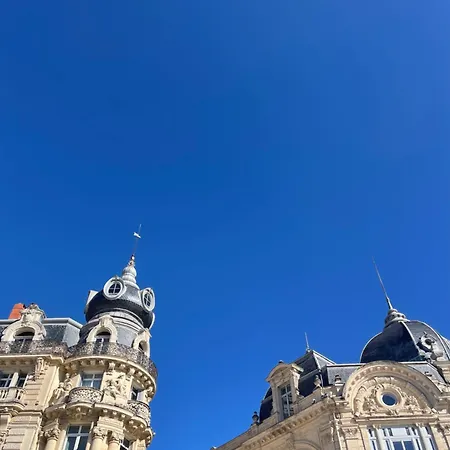 Un Jardin Place De La Comedie Daire